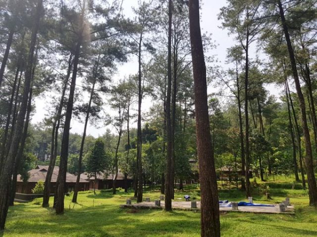 Eco-Edu-Forest-3 https://www.thecarpenteroutdoor.com/wp-content/uploads/2018/04/Eco-Edu-Forest-3-640x480.jpg