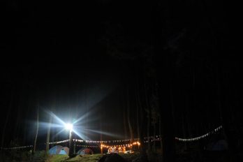 IMG_5010 IMG_5010