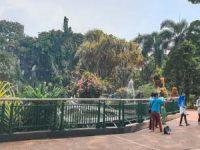 Kebun Binatang Ragunan Jakarta Ragunan Jakarta