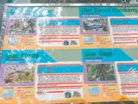 Kebun Binatang Ragunan Jakarta Informasi Satwa Ragunan