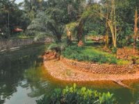 Kebun Binatang Ragunan Jakarta Kendang Harimau Kebun Binatang Ragunan