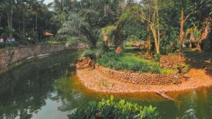 Kendang Harimau Kebun Binatang Ragunan