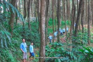 Treking