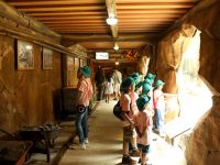 Taman Safari Indonesia Bogor Paket Wisata Taman Safari Bogor