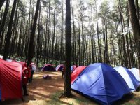 Explore Curug Camp Explore Nature Camp