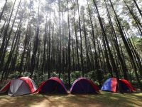 Explore Curug Camp Explore Nature Camp