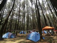 Explore Curug Camp Explore Nature Camp