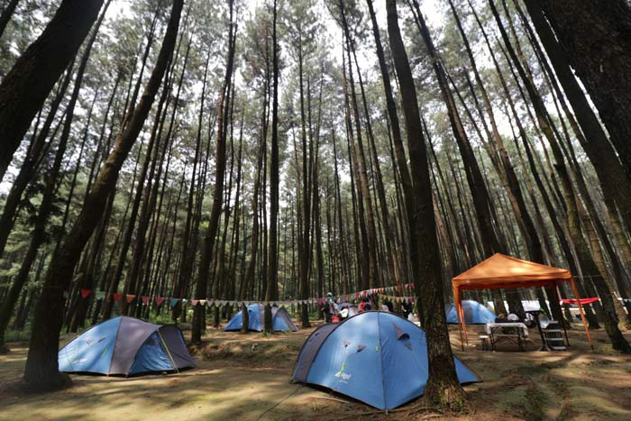 Paket Camping Bogor