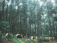 Team Building Camp Event Organizer Camping Jakarta