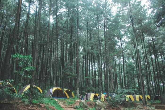 Team Building Camp Event Organizer Camping Jakarta