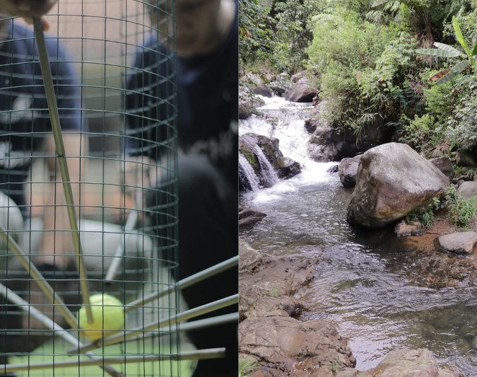 Trekking & Team Building at Sentul