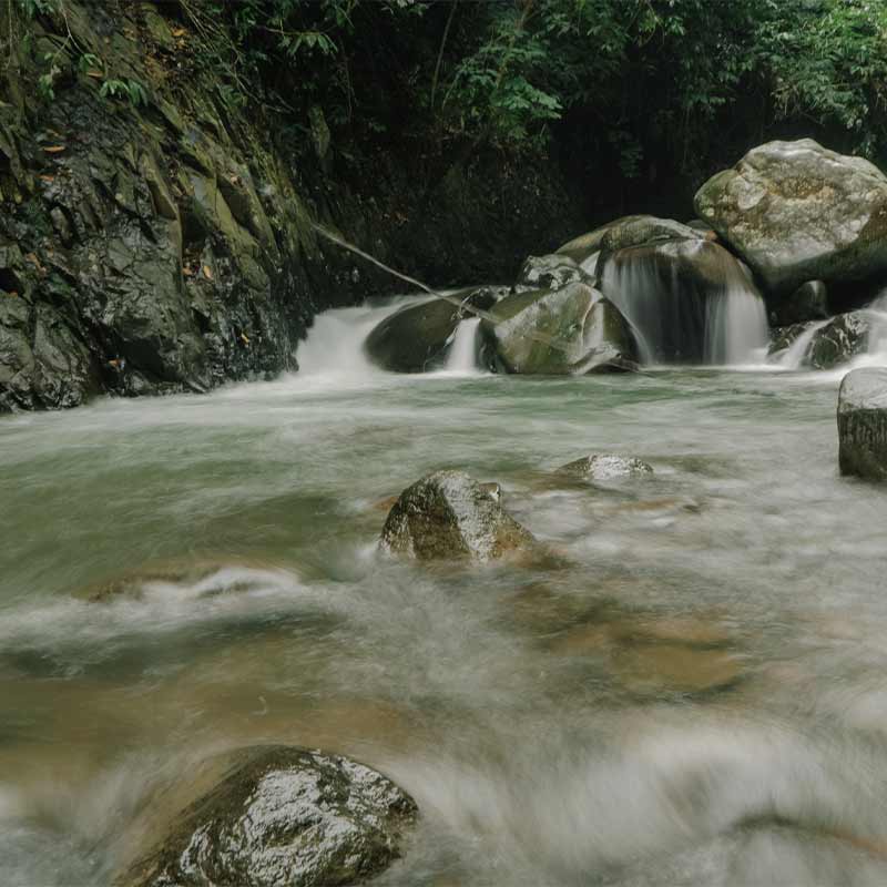 Hiking-Sentul-Leuwi-Asih-4