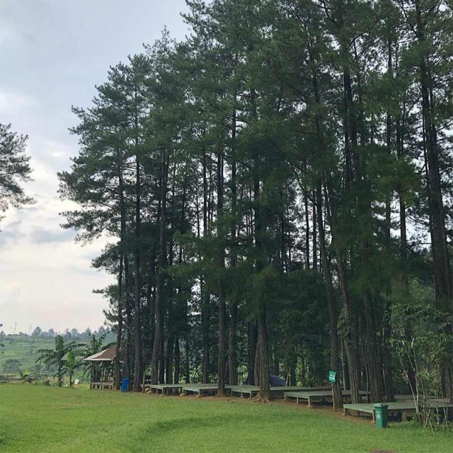 Hutan-hujan-trekking-sentul