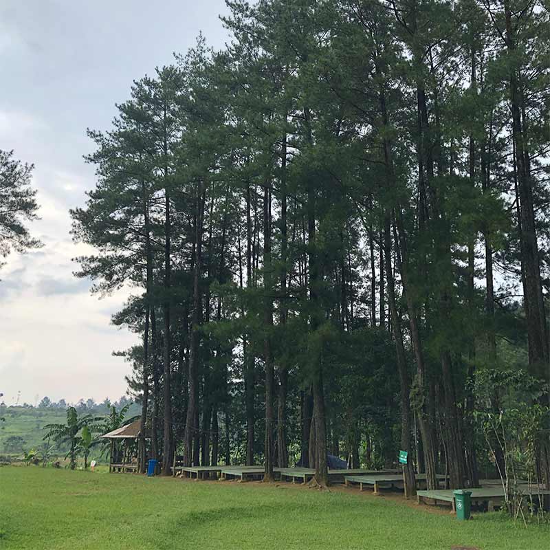 Hutan-hujan-trekking-sentul