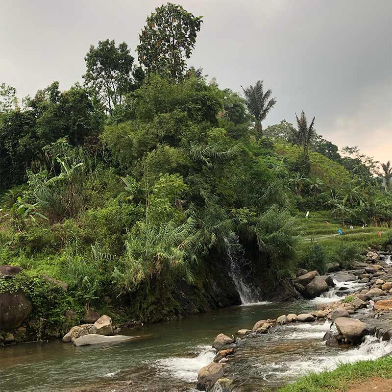 Sungai-Leuwi-Asih-Hiking-Sentul-Bogor