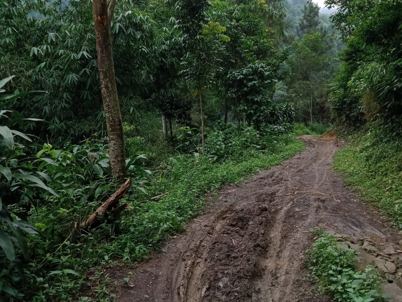 Curug Ngumpet 1