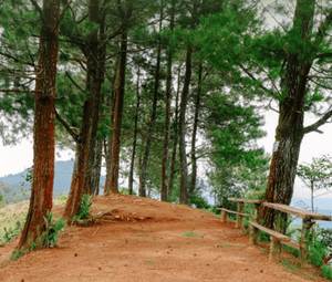 Lokasi Outbound di Sentul Bogor Gunung Pancar