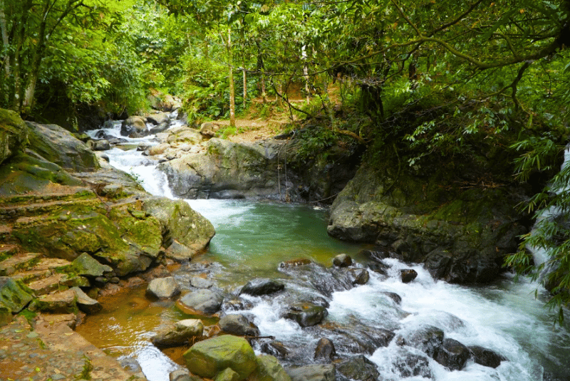 Jalur trekking hiking curug kencana sentul bogor