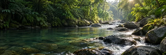 Ilustrasi sungai jernih berbatu dengan pepohonan tropis dan cahaya pagi